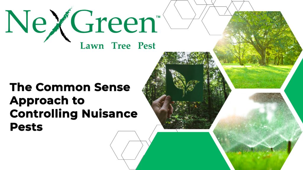 The Common Sense Approach to Controlling Nuisance Pests