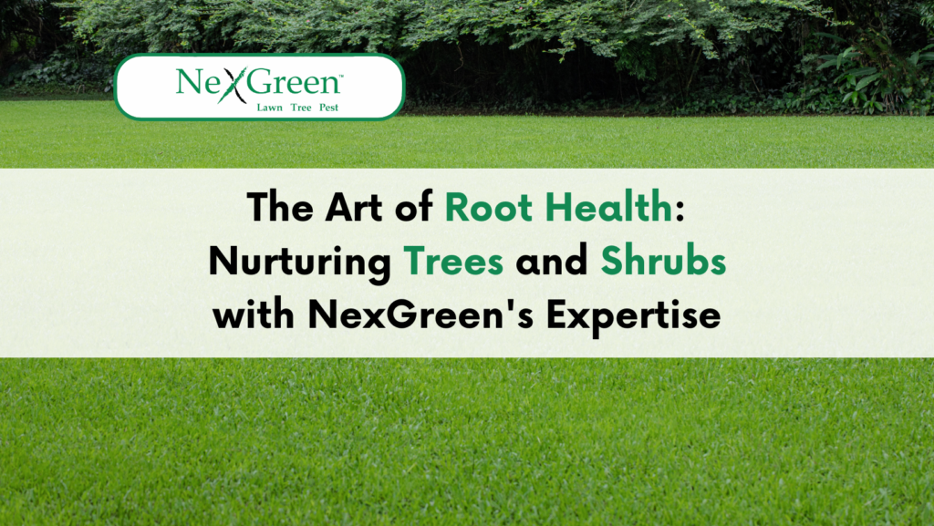 Root health