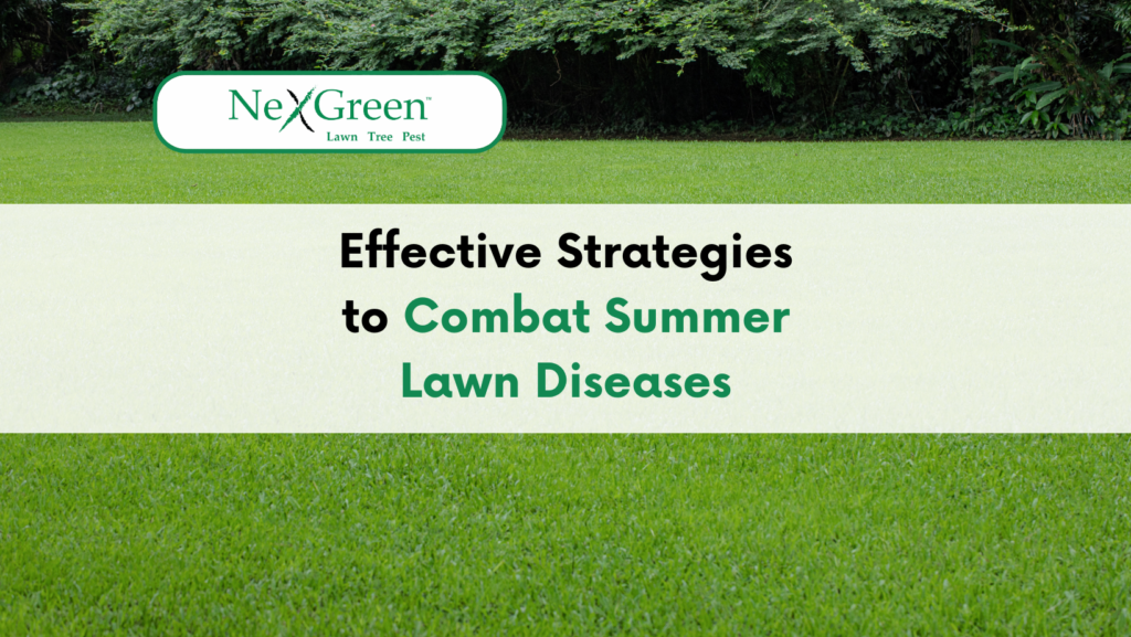 Lawn diseases