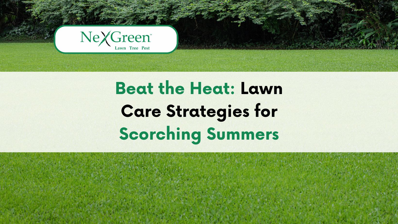 Lawn care