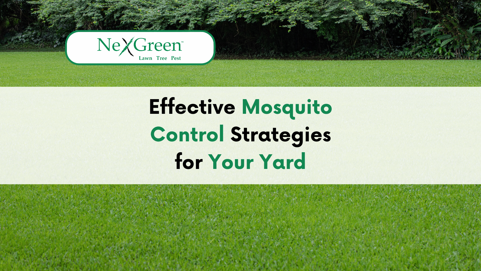 Mosquito Control