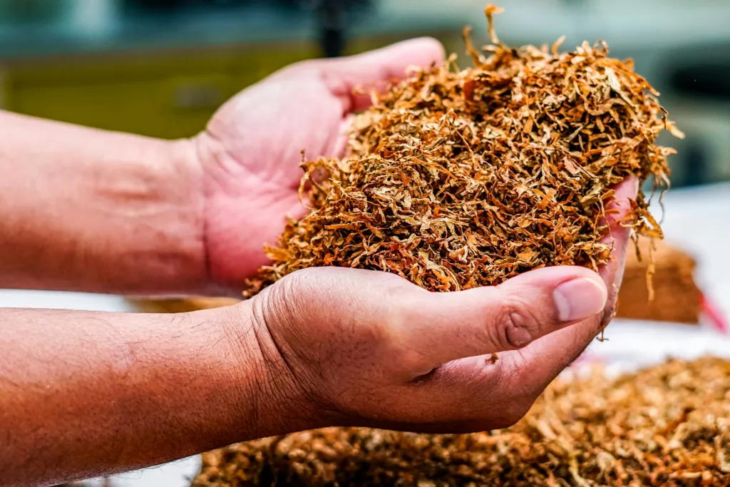 What Is Mulch Used For? And How to Pick the Right Type? 