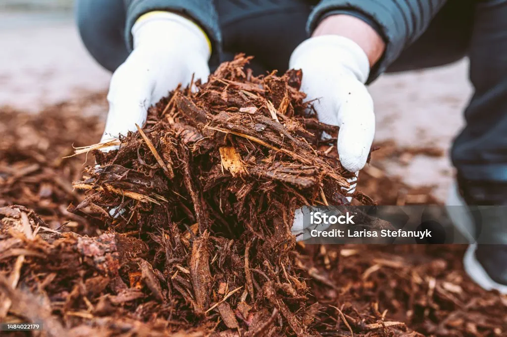 What Is Mulch Used For? And How to Pick the Right Type? 
