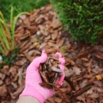 Mulching Leaves: Ideal Timing & Strategies for This Fall